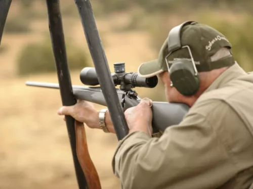 Practical Hunting Rifle